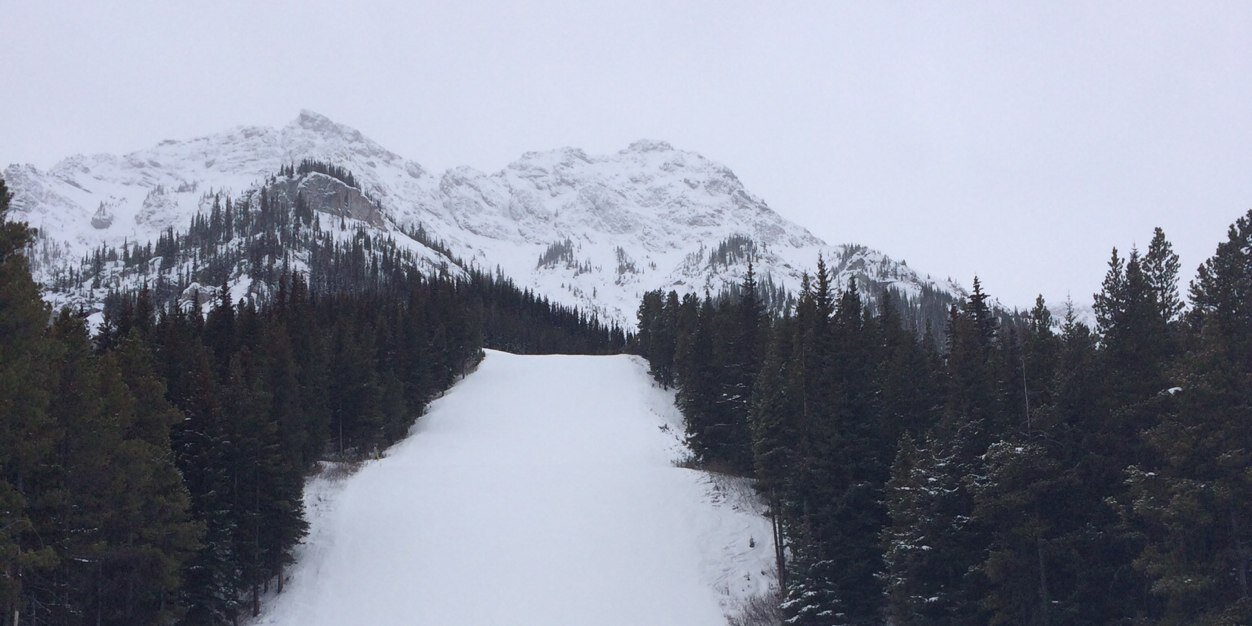 Warren Buckler banner