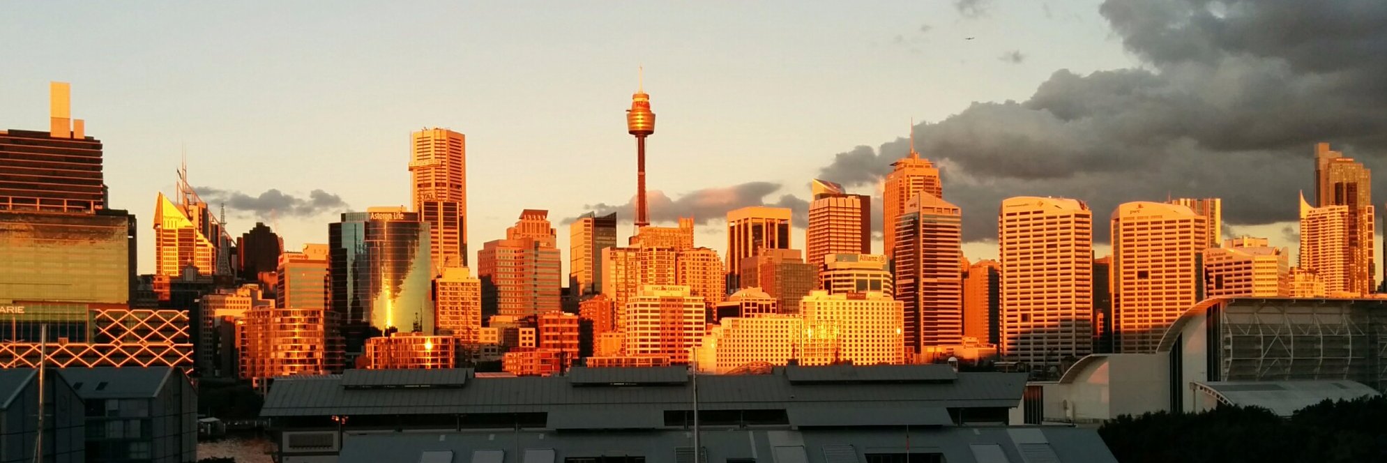 Iain McDougall banner