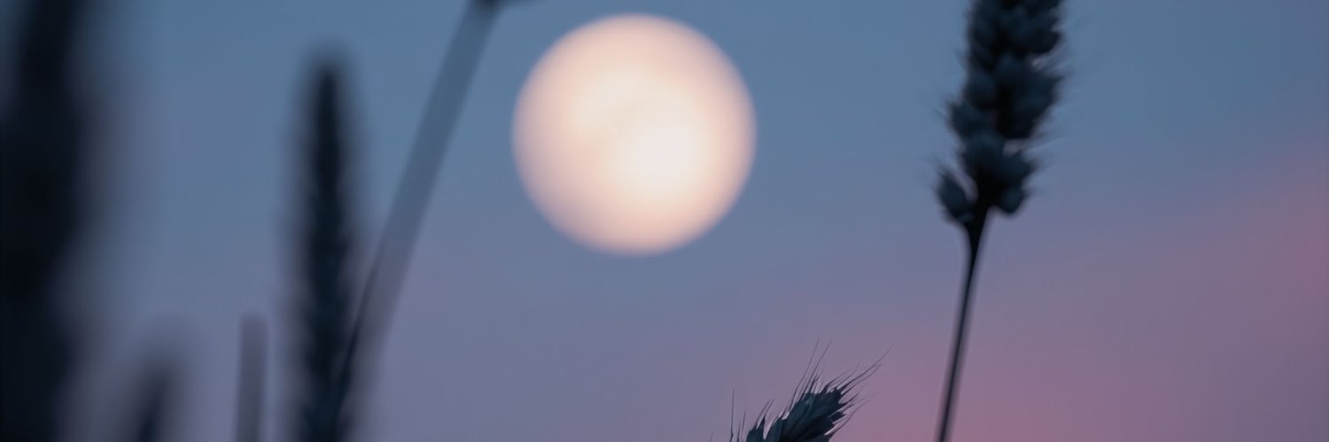 chicanxbabe's profile banner image