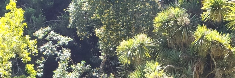 BALASANTHOSH5's profile banner image