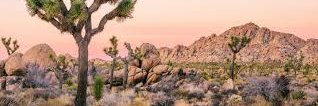 SeanRiley77's profile banner image