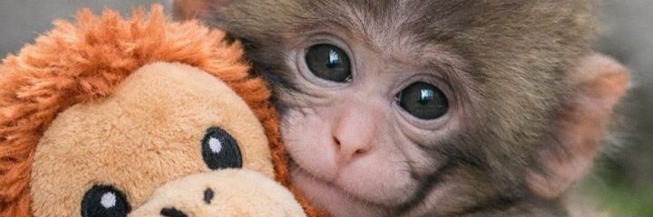 Morales_J7's profile banner image