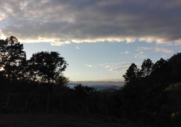 sara_dhc's profile banner image