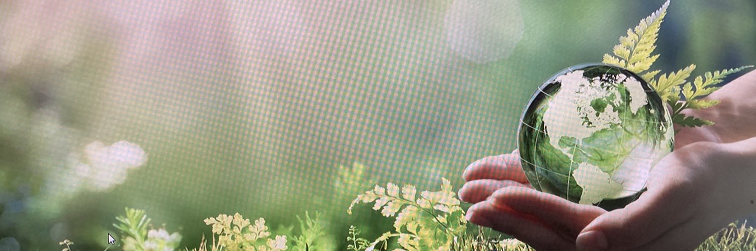 elainelmac's profile banner image