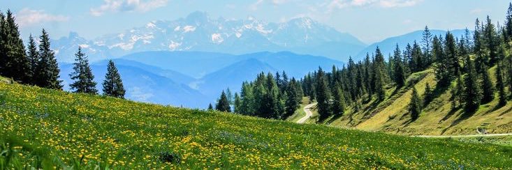 مُتسائل banner