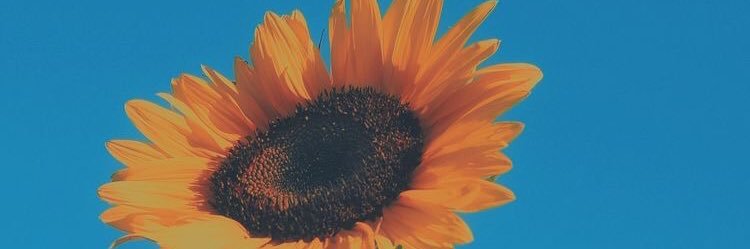 dulcitoecoco__'s profile banner image