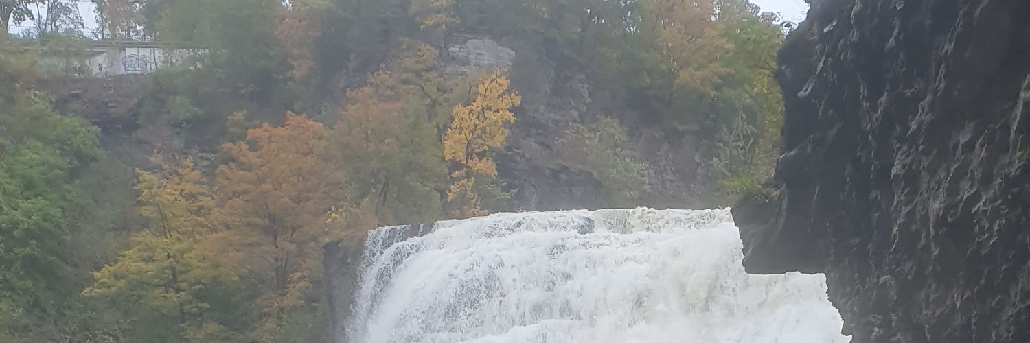 AviAdi55's profile banner image