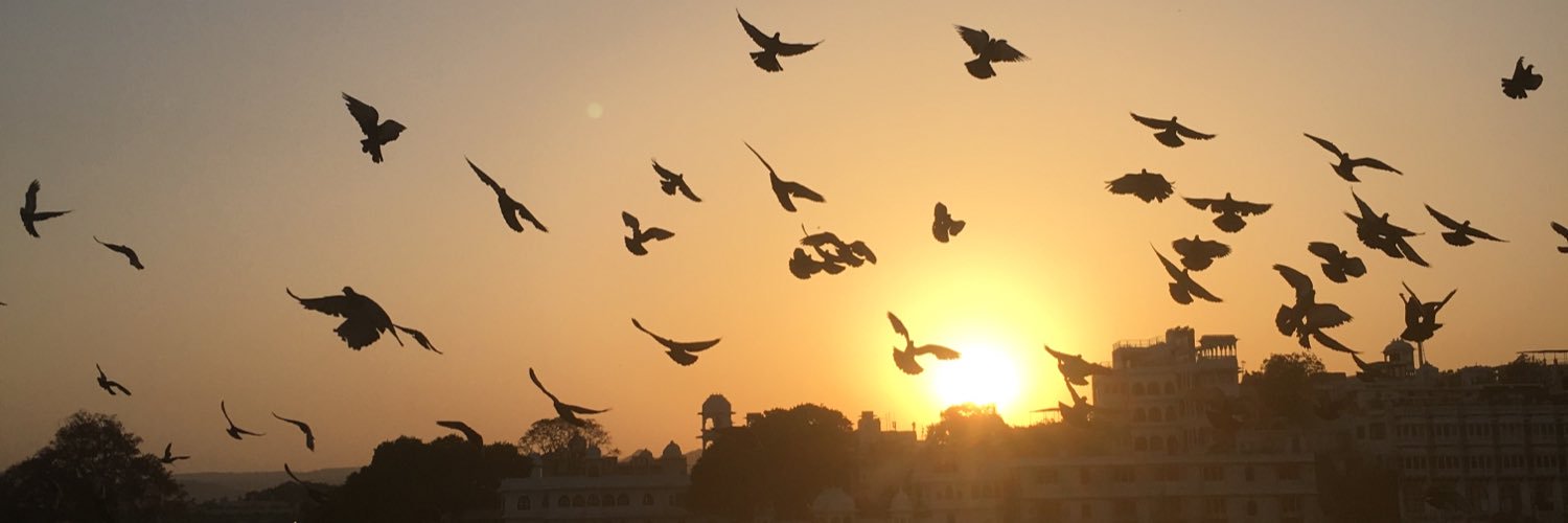 Georgina Pearce banner