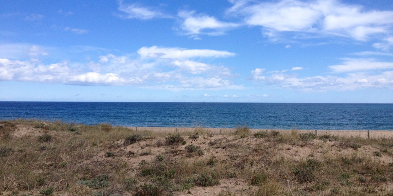 Anna Soldevila banner