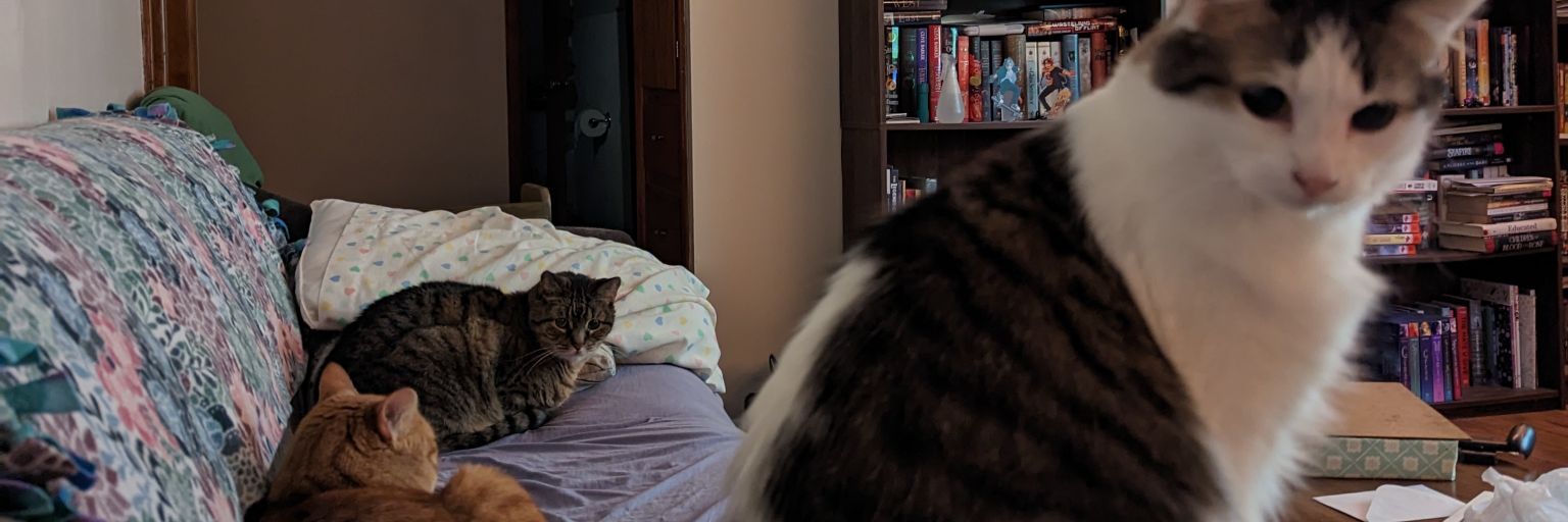 MillyFerg's profile banner image