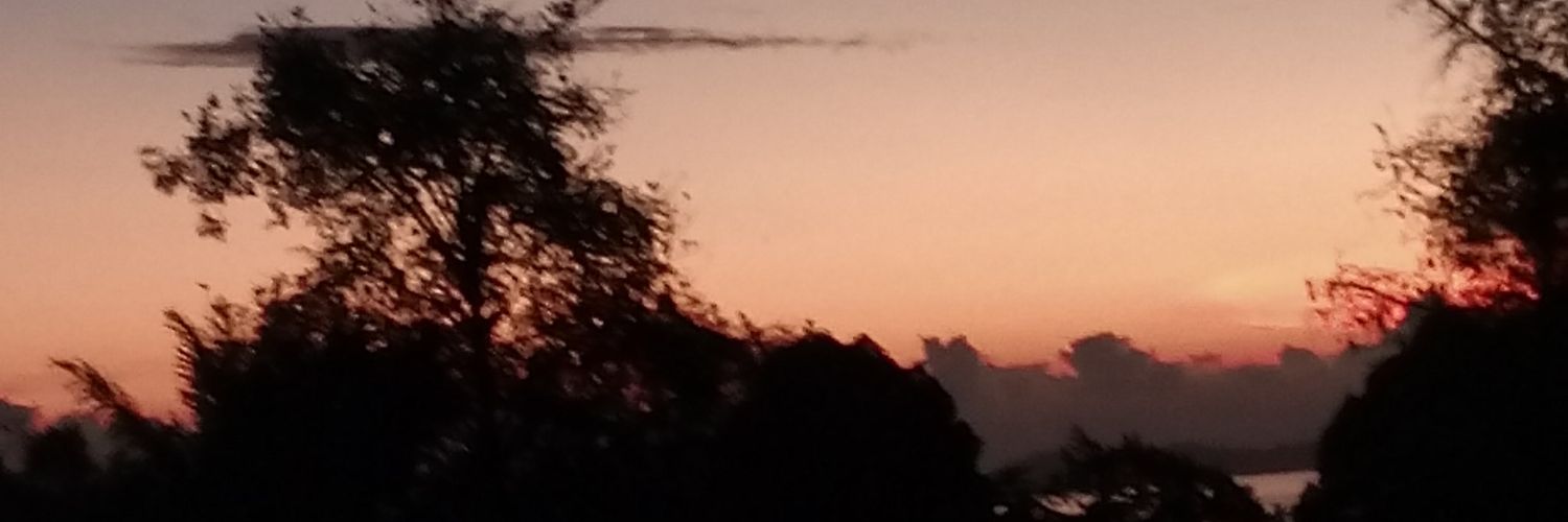 IntanSlamet's profile banner image