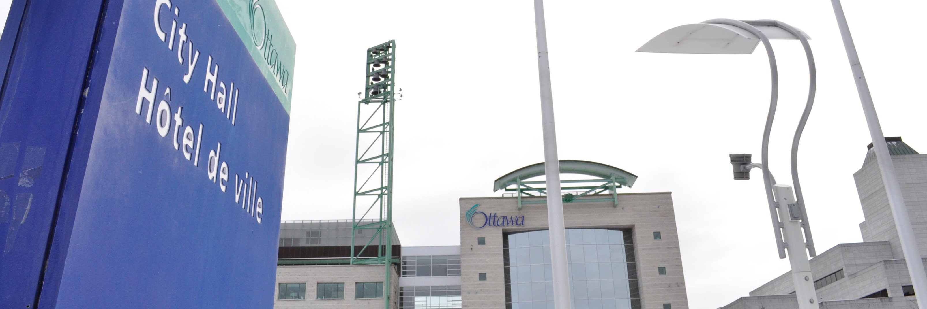 Jennifer McIntosh banner