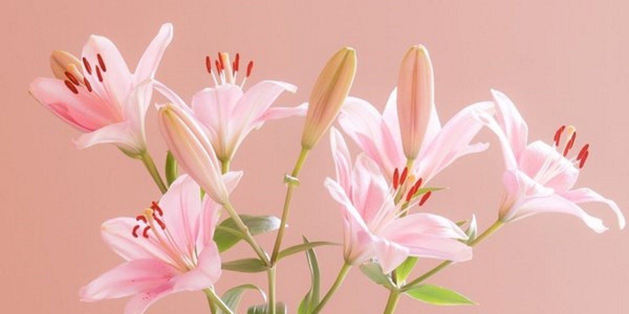 itsgracey_'s profile banner image
