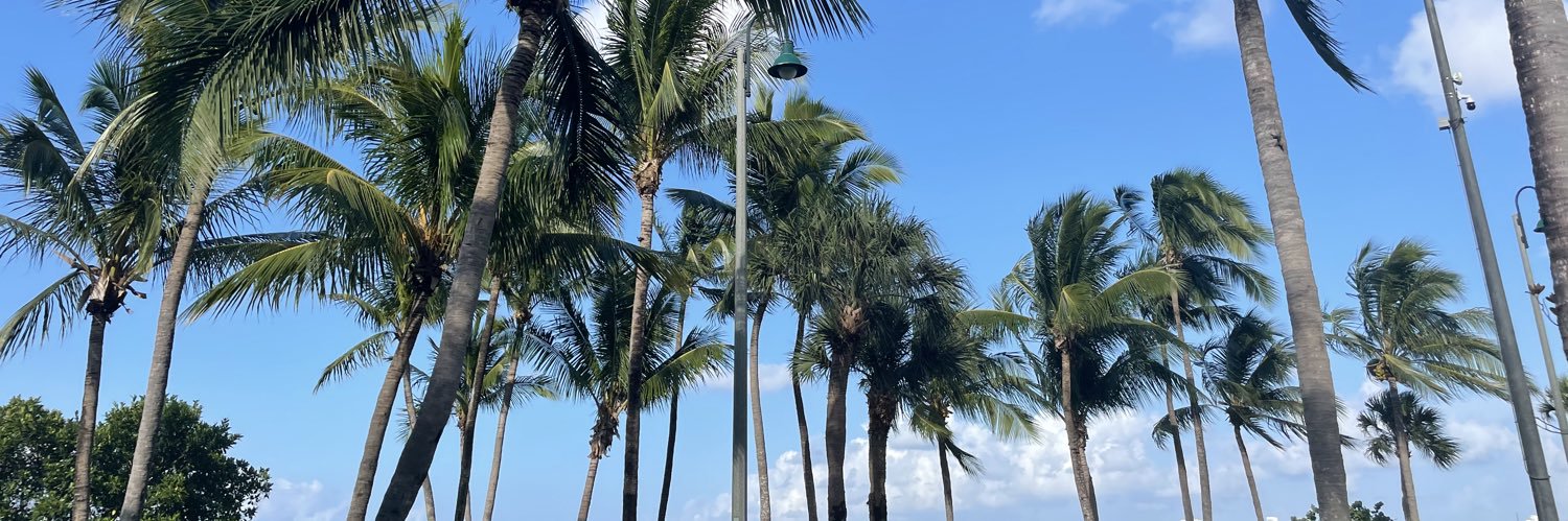 Elizabeth Piñon banner