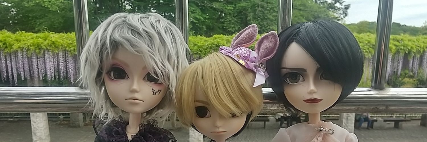 junko banner