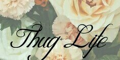 Lil_Lydia_'s profile banner image