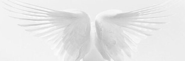 foona3's profile banner image