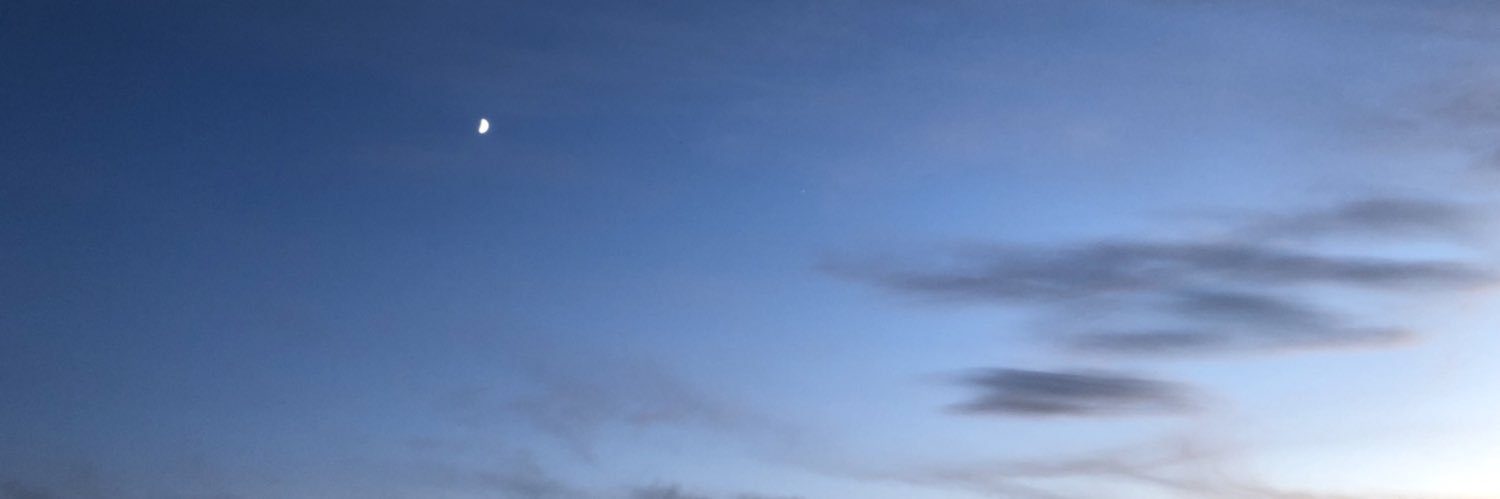 madiecardon's profile banner image