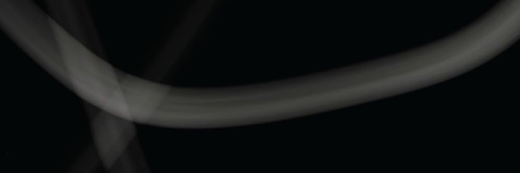 wym201 says Palestine will be free banner