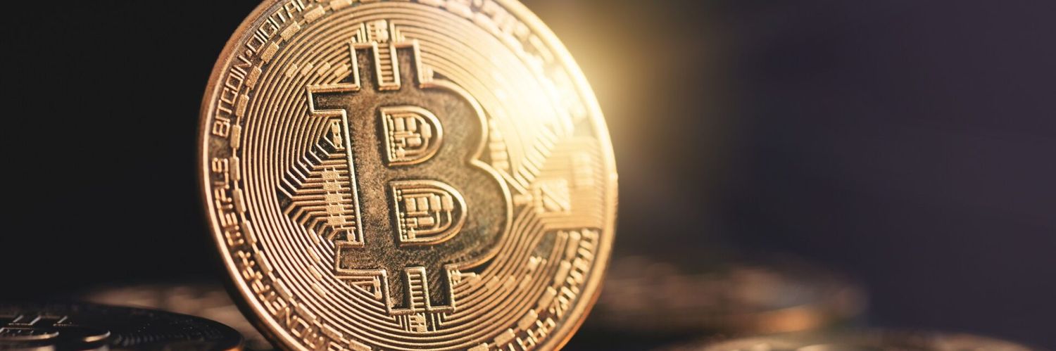 alicebtcc's profile banner image