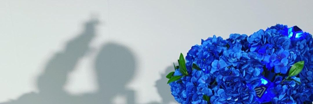 령🧊 banner
