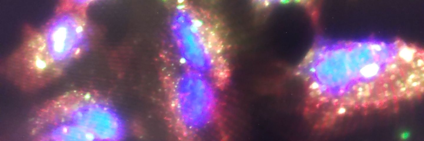 LilMsCandee's profile banner image