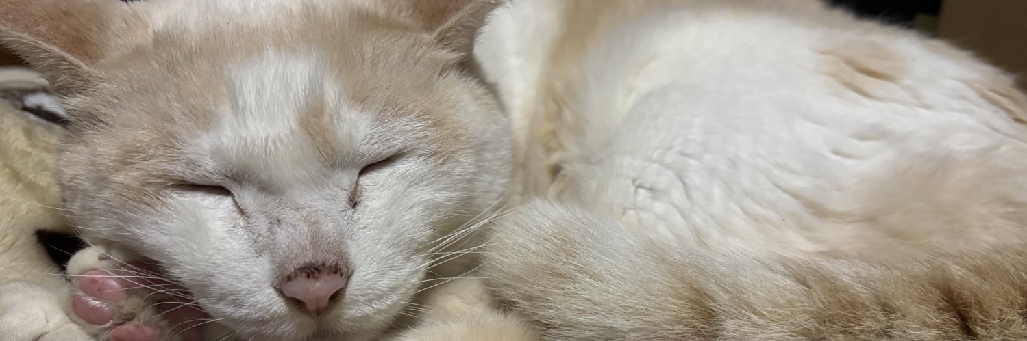 nu_sb0bczc's profile banner image