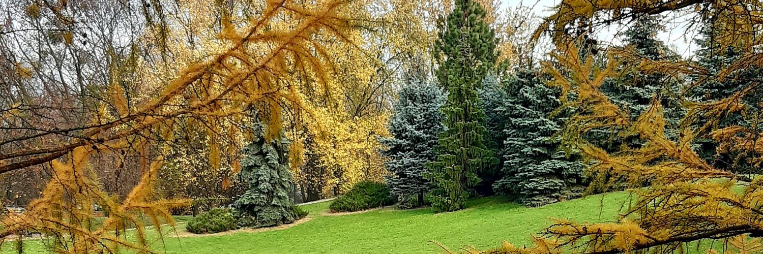 staruszek66 banner