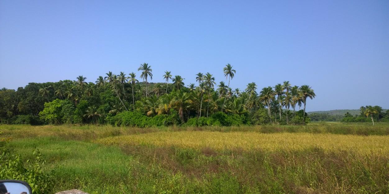ajkelkar's profile banner image