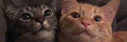 itsbbyval's profile banner image