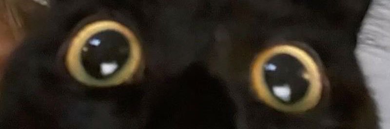 keyjay🌾(fan account) banner