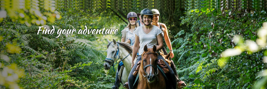 FunVactiviti's profile banner image