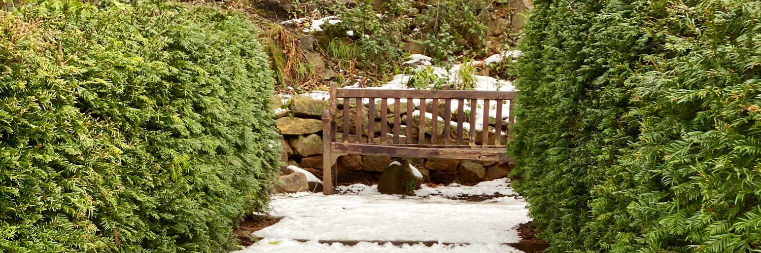 Ally Hunter-Byron banner