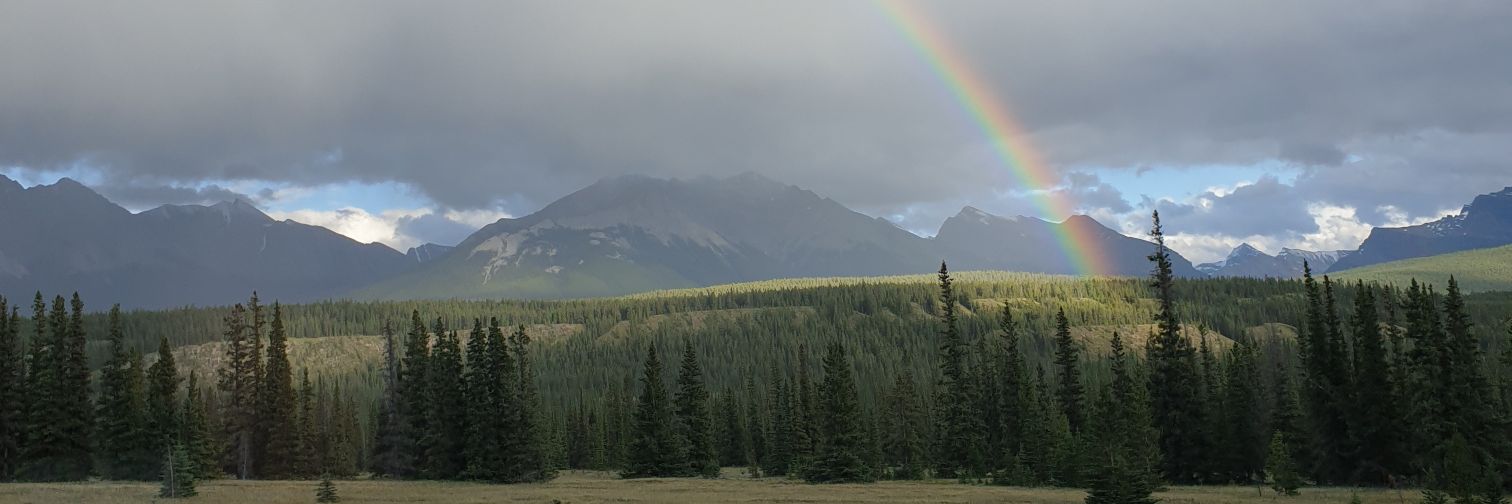 jaggalvez's profile banner image