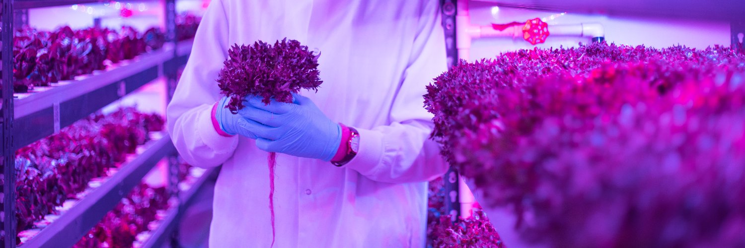 freshboxfarms's profile banner image