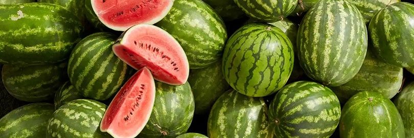 🔻🍉⌨️🇮🇷's banner