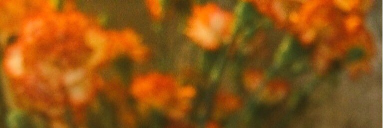 MileyRogers15's profile banner image