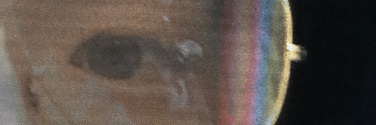 wpluswplus's profile banner image