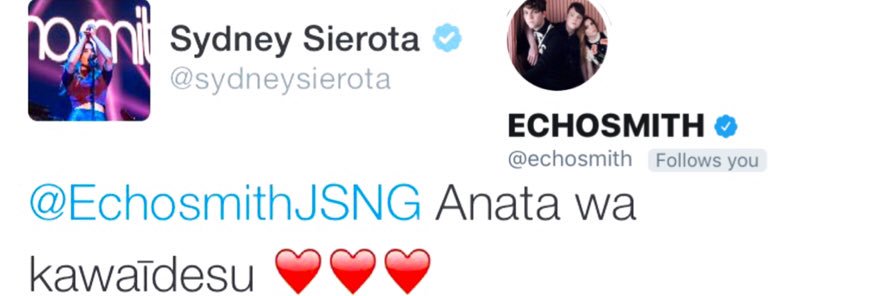 EchosmithJSNG's profile banner image
