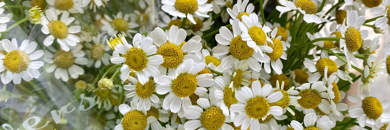 _NnyRmli's profile banner image
