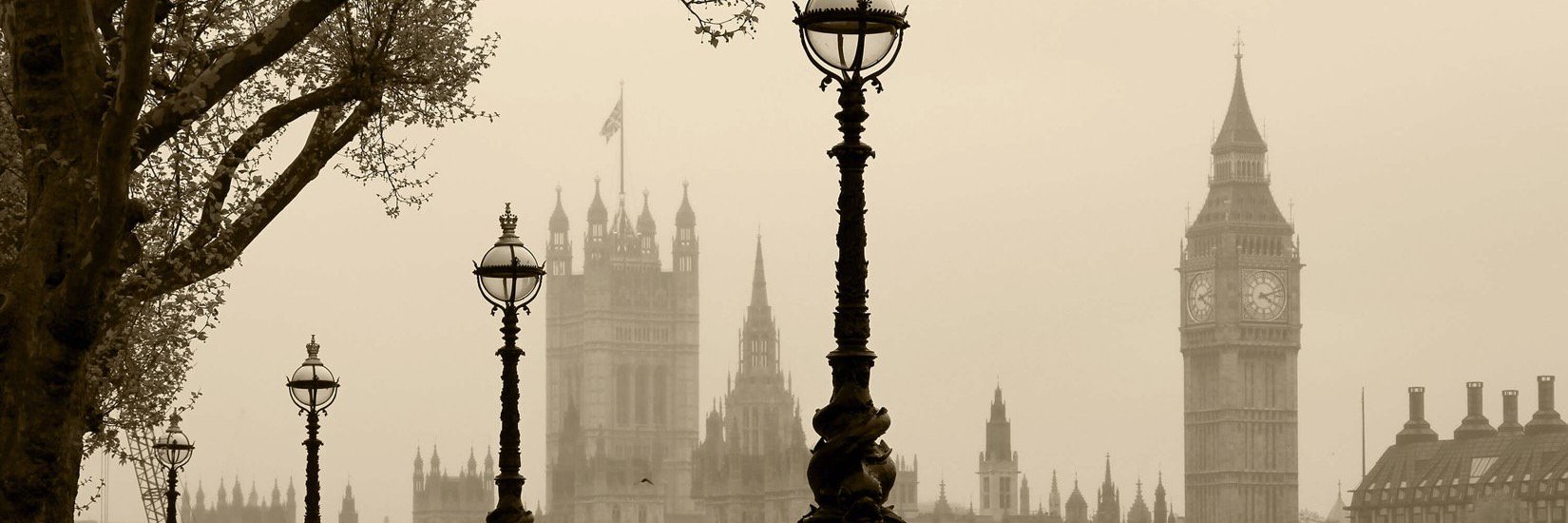 Bianca Nobilo's banner