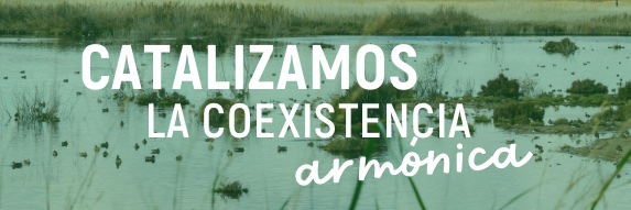 EcoMaxei's profile banner image
