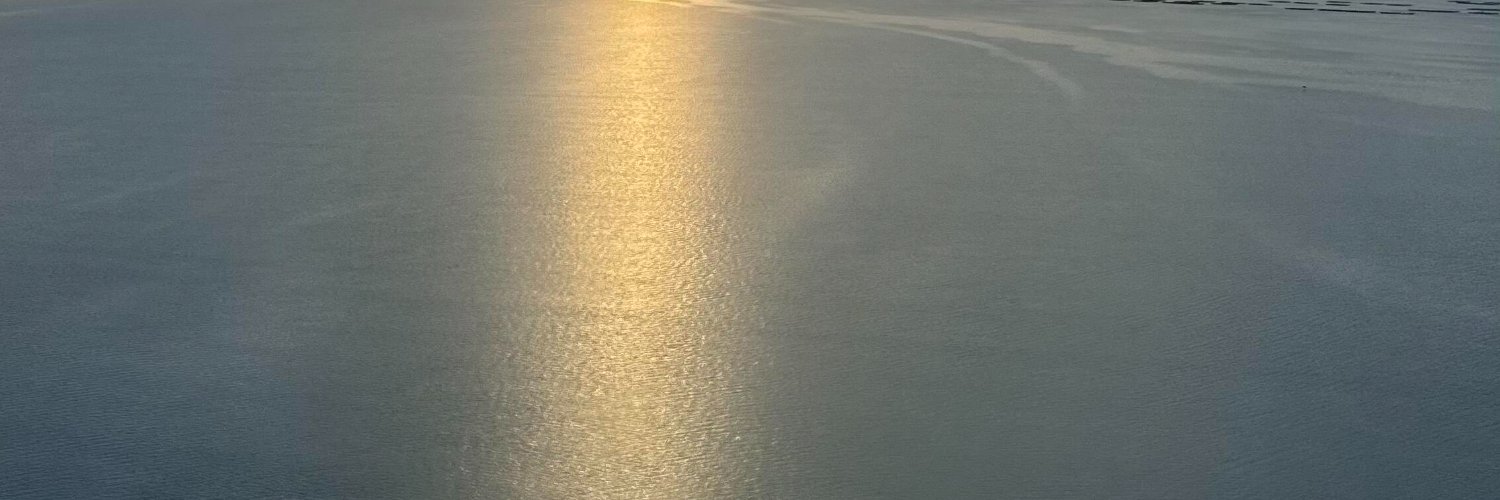 Valentinax2aw's profile banner image
