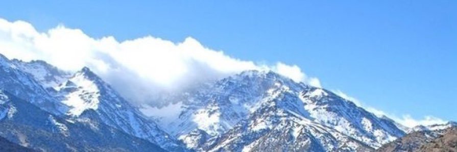 Margaret Link banner