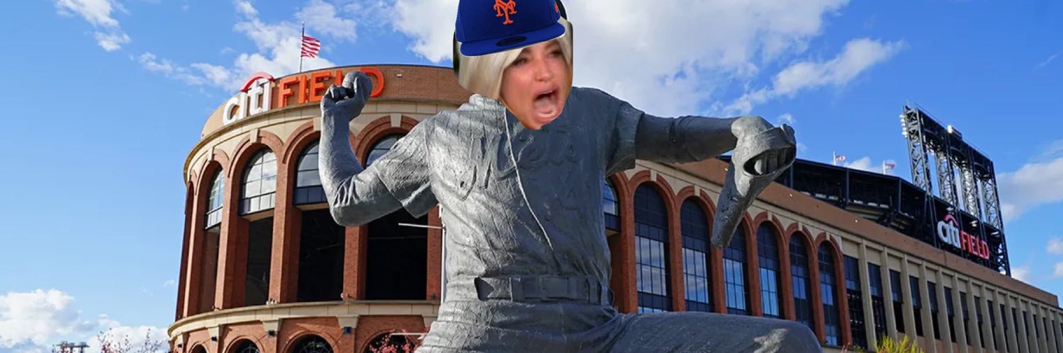 Mets_karen's profile banner image