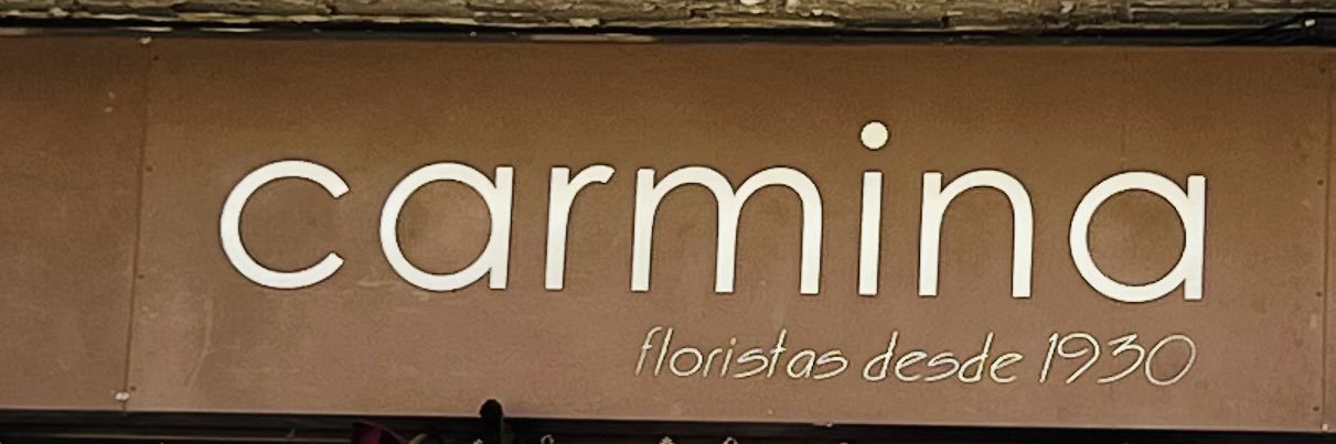 CarmenSSoria's profile banner image