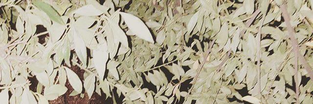 richcaribb's profile banner image