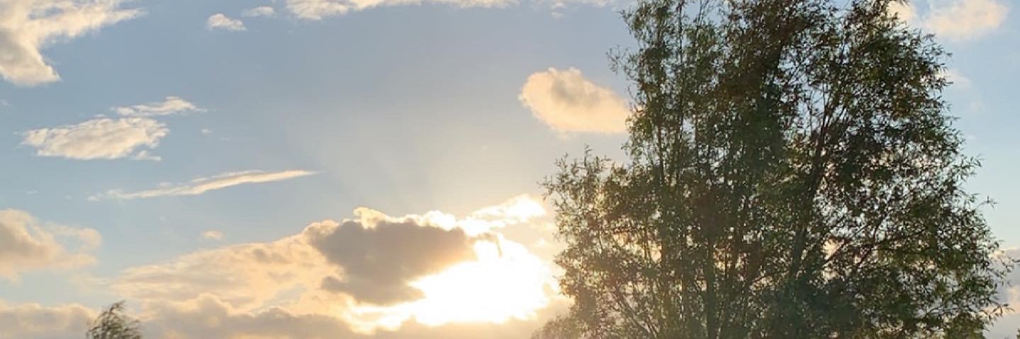 a_aridd's profile banner image