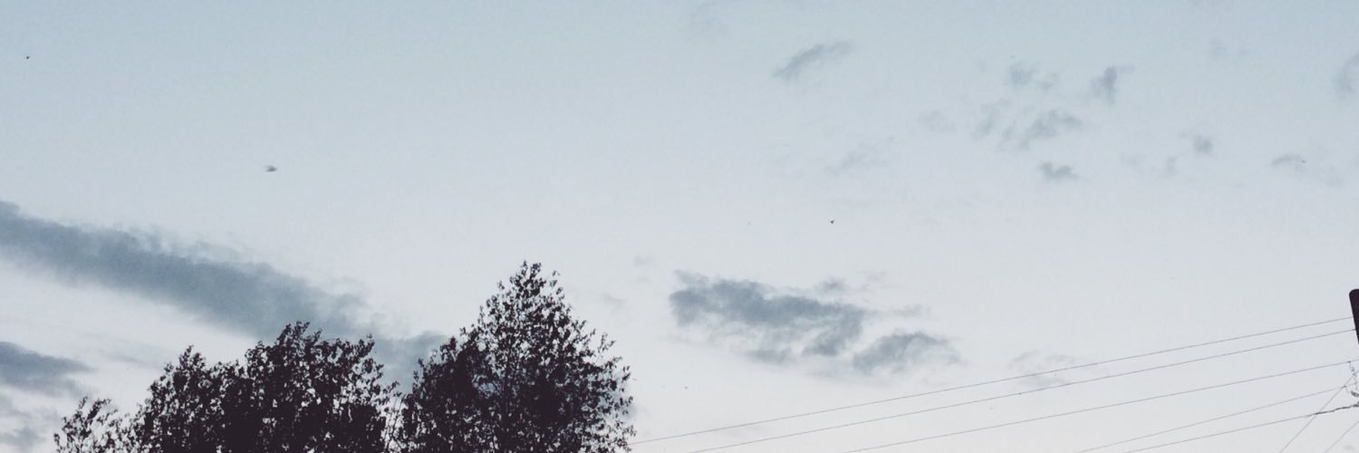 RomanTimoshenko's profile banner image