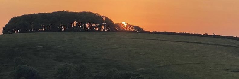 _evelynsmith's profile banner image